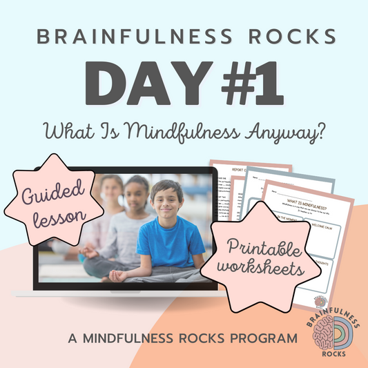 Z1* What is Mindfulness Anyway? - Day 1 (Brainfulness Rocks)