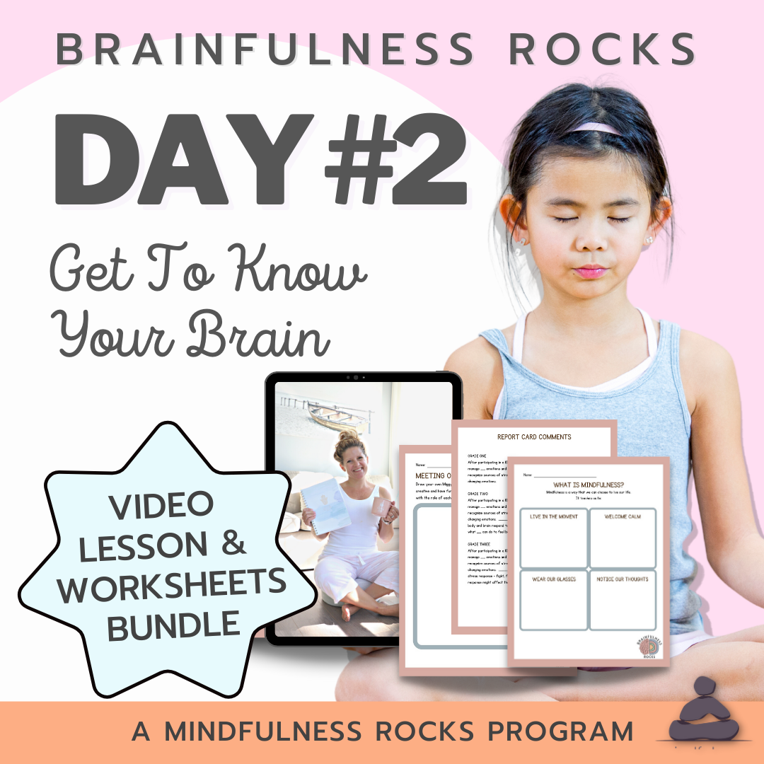 Z2* Get To Know Your Brain - Day 2 (Brainfulness  Rocks)