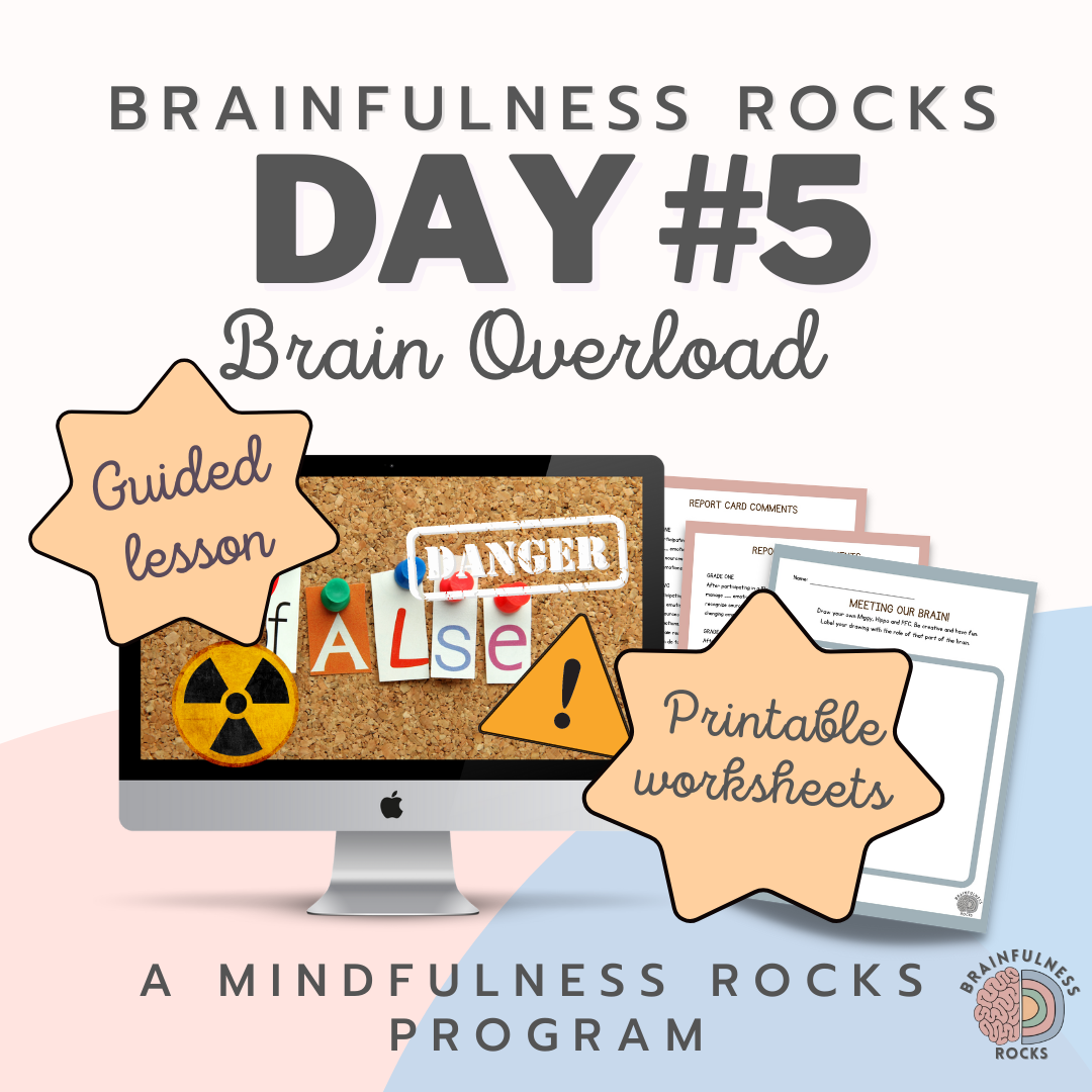 Z5* Brain Overload - Day 5 (Brainfulness Rocks)